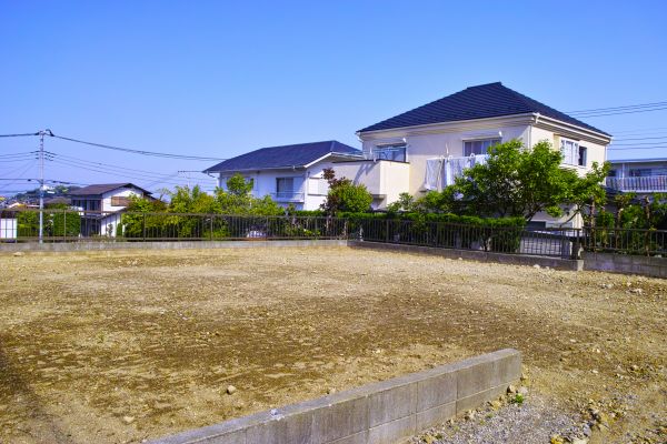 Cost of Lot Clearing Service in Carmel