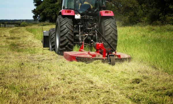 Brush Clearing Service in Carmel
