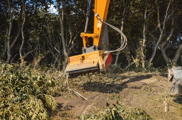 Brush Removal Service in Carmel