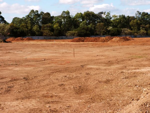 Cost of Field Clearing in Carmel