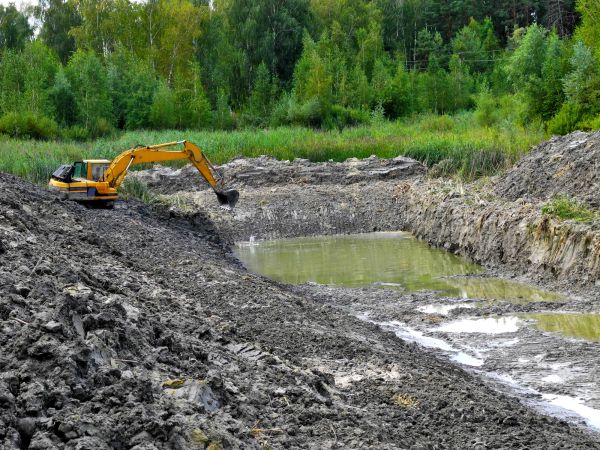 Cost of Lake Lot Clearing in Carmel