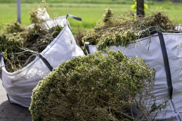 Cost of Bushes Clearing in Carmel