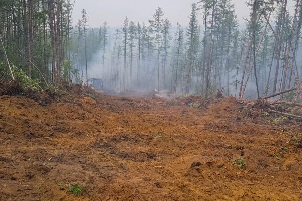 Cost of Hill Clearing in Carmel