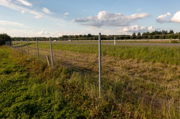 Cost of Property Line Clearing in Carmel