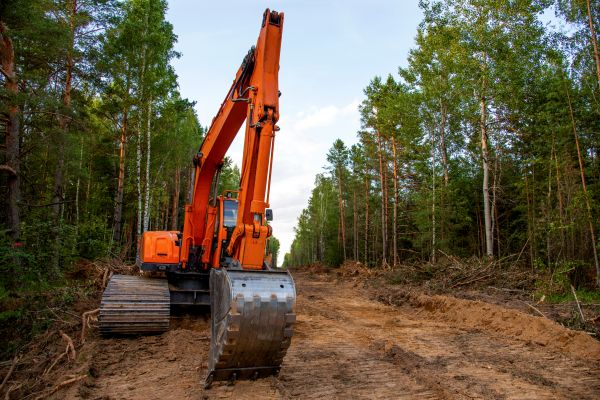 Cost of Backhoe Land Clearing in Carmel