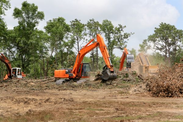 Cost of Commercial Lot Clearing in Carmel