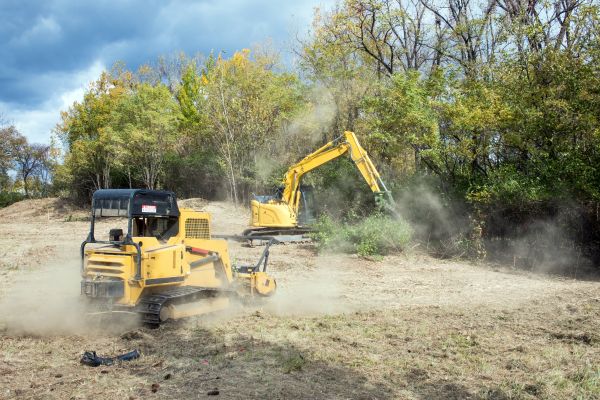 Cost of Terrain Clearing in Carmel